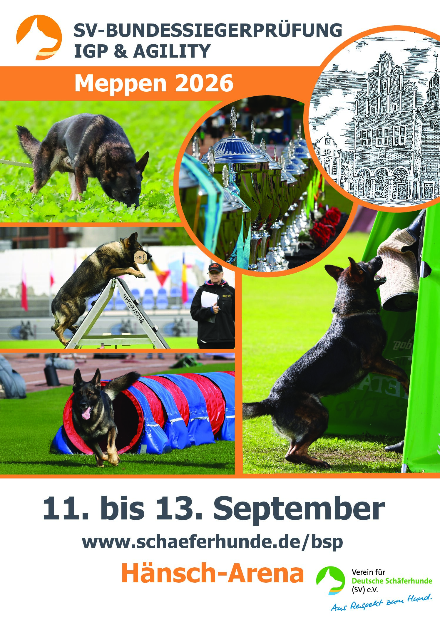 Bundessiegerprüfung IGP / Agility in Meppen